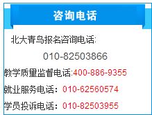 學計算機 編程與設計，究竟哪個更適合你？